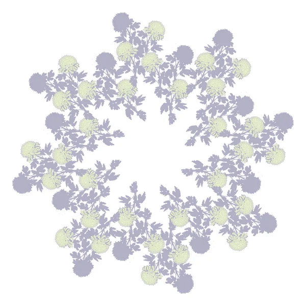 Kasımpatı çiçeğinin yumuşak pastel rengi çelengi beyaza izole edilmiş..