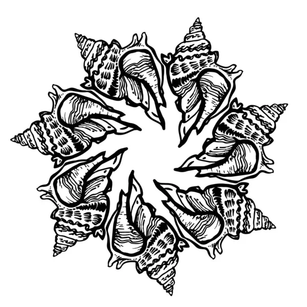 Ornamentele cirkel frame van schelp in zwarte inkt geïsoleerd op wit. — Stockvector