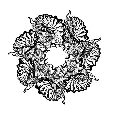 Deniz kabuğu mandala yuvarlak çerçevesi siyah mürekkeple beyaza izole edilmiş..