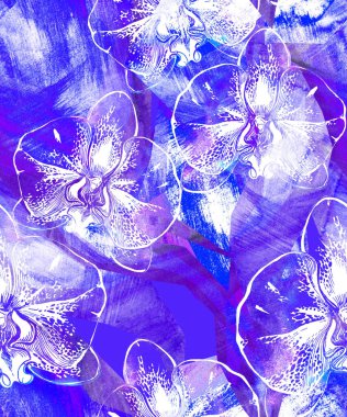 Açık mavi kristal desenli arka planda orkidenin Indigo mistik çiçekleri.