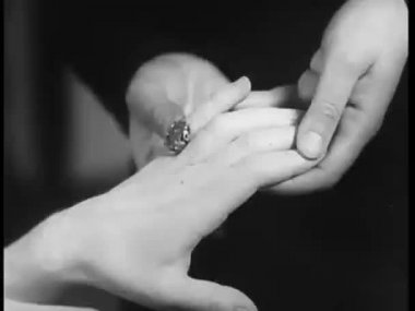 Adam kadının parmağında yüzük koyarak