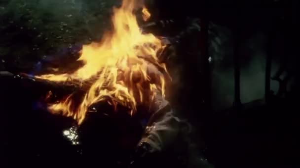 Тело сгорает в огне — стоковое видео