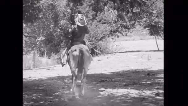 Pferd stürzt zu Boden — Stockvideo