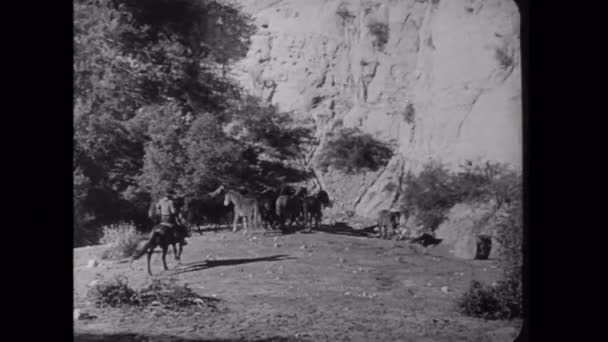 Owboys pastoreando caballos — Vídeos de Stock