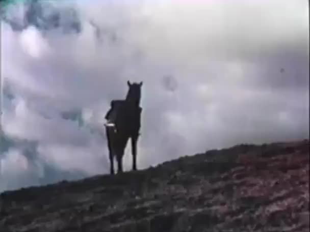 Paard handtastelijkheden van de grond op de heuvel — Stockvideo