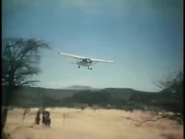 南非洲丛林上空低低飞行的飞机 — 图库视频影像