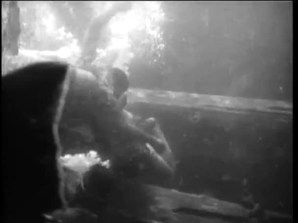 Scuba divers killing one of their partner — Stock Video