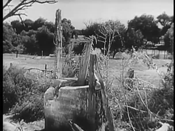 Abandoned well on a farm — Stock Video