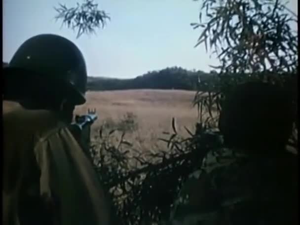 Soldat marchant dans le champ de l'Angola — Video