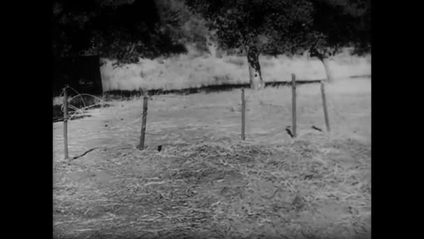 Soldado rastejando na trincheira escondida — Vídeo de Stock