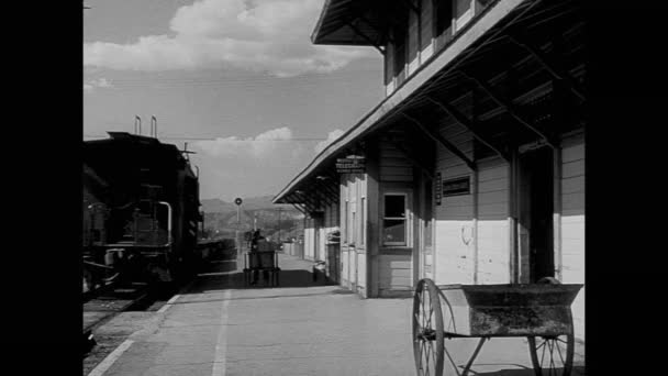 Porter pushing luggage cart — Stock Video