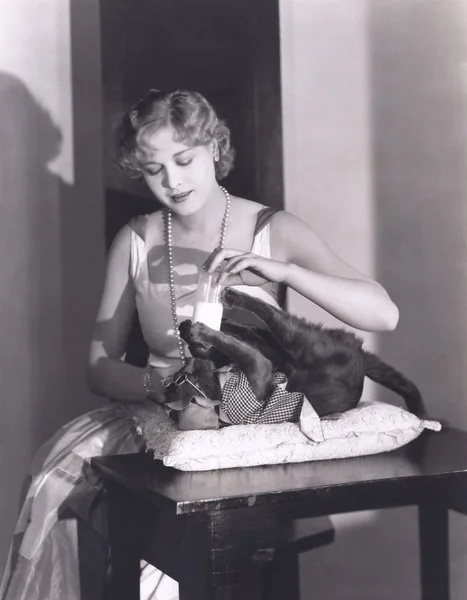 Γυναίκα διατροφή σκυλιών — Φωτογραφία Αρχείου