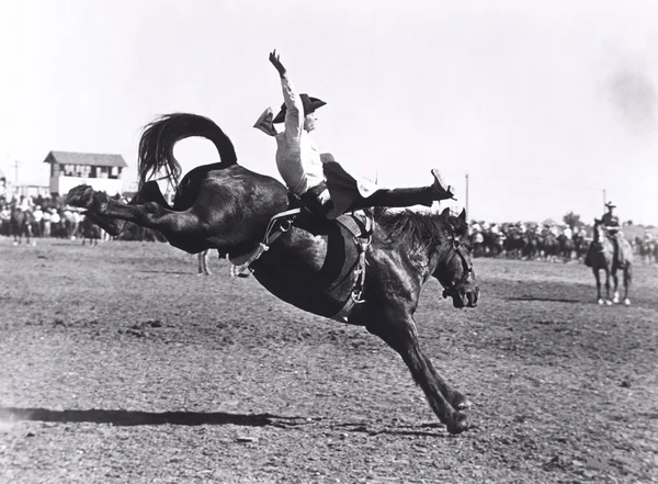 Bucking the trend.  cowboy on horse — Stock Photo, Image