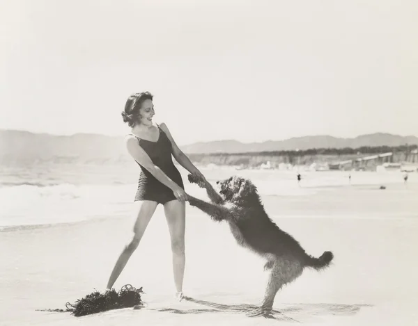 Mulher brincando com animal de estimação — Fotografia de Stock