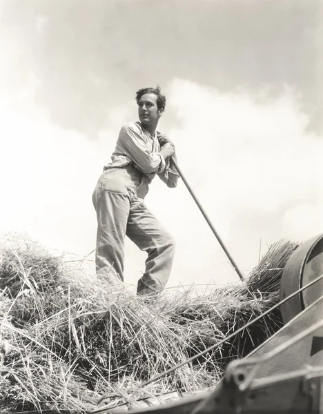 Man balenpersen hooi — Stockfoto