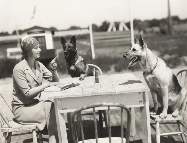 Mulher sentada à mesa com cães — Fotografia de Stock