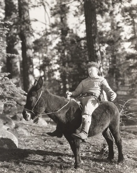 Adam ridding eşek — Stok fotoğraf