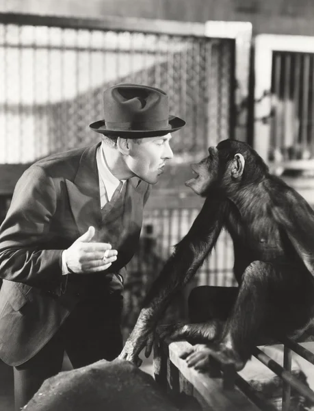 Человек и обезьяна смотрят друг на друга — стоковое фото
