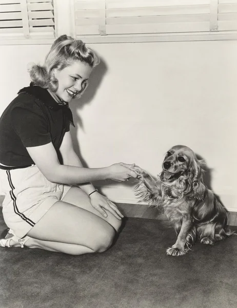 Vrouw schudden handen met haar cocker spaniel — Stockfoto