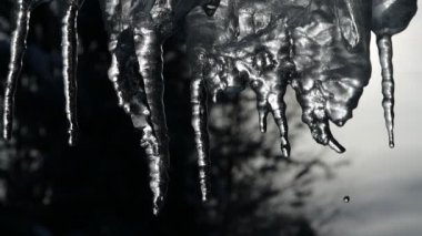 Ilık, güneşli bir günde buz saçaklarının yavaşlaması. Mavi arkaplanda buz sarkıtı eriyor, kusursuz döngü. Sonsuz döngü, döngü