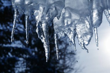 Kalın mavi buza ve birçok sarkıta yakın.