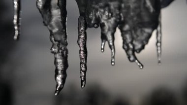 Ilık, güneşli bir günde buz saçaklarının yavaşlaması. Mavi arkaplanda buz sarkıtı eriyor, kusursuz döngü. Sonsuz döngü, döngü