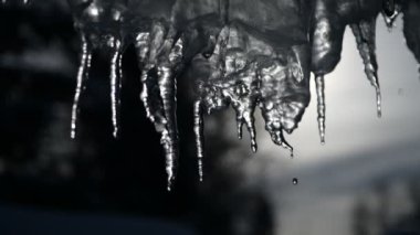 Sıcak, güneşli bir günde buz saçağı damlatan 4K videosu. Mavi arkaplanda buz sarkıtı eriyor, kusursuz döngü. Sonsuz döngü, döngü