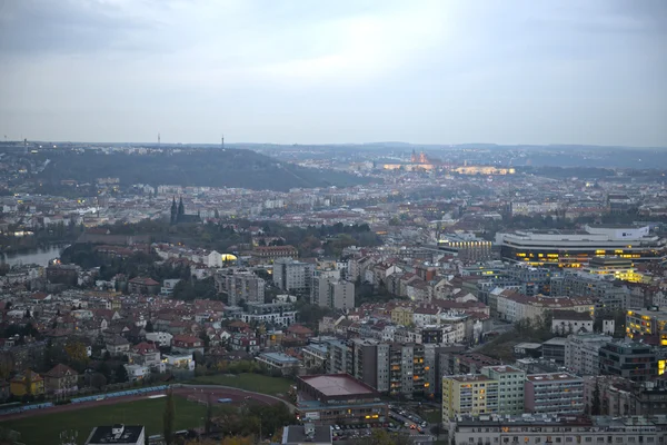 Prague from the City Tower — Stock Photo, Image