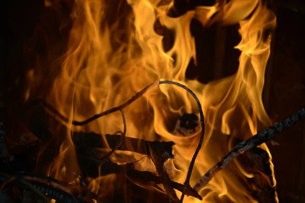 Holz verbrennen — Stockfoto