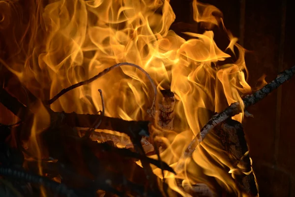 Burning wood — Stock Photo, Image