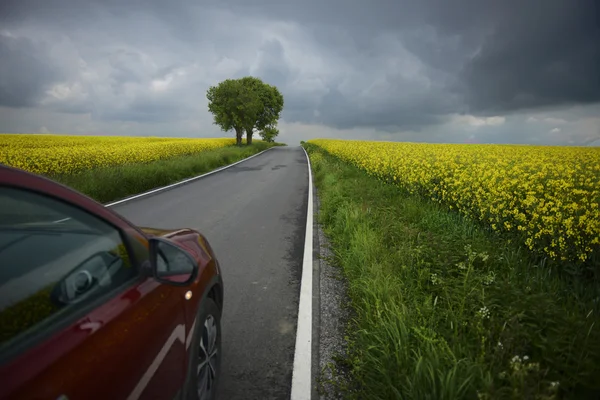 Camino de asfalto — Foto de Stock