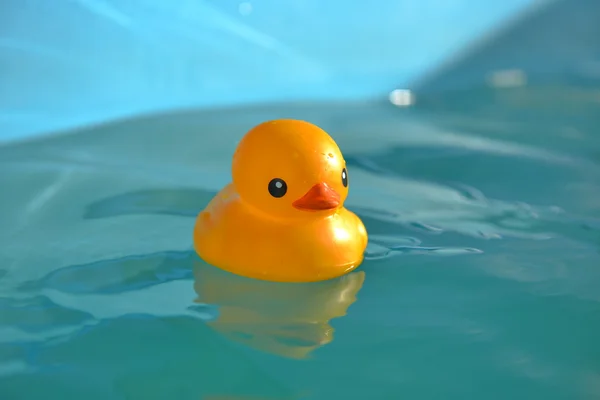 Plastic duck — Stock Photo, Image