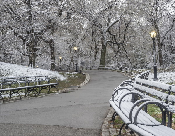 Central Park, New York City during snow storm in late March