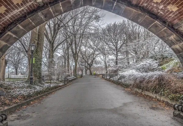 Bow bridge i höst — Stockfoto