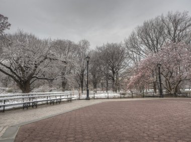 Central Park, New York Şehri