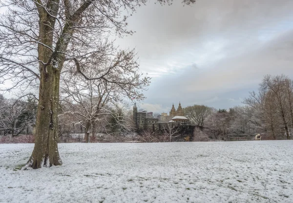 Central Park, New York City, Schloss Belvedere — Stockfoto