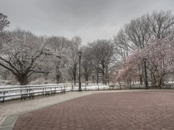 Central Park, New York City — Stockfoto