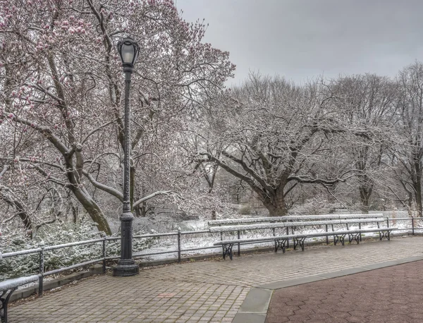 Central Park, Nova Iorque — Fotografia de Stock