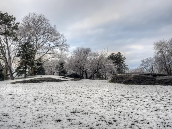 Central Park, New York après une tempête de neige — Photo