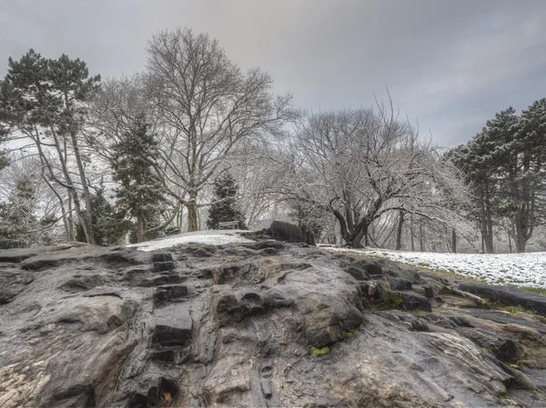 Центральный парк в Нью-Йорке после снежной бури — стоковое фото