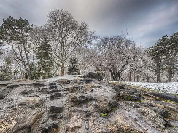 Central Park, New York après une tempête de neige — Photo