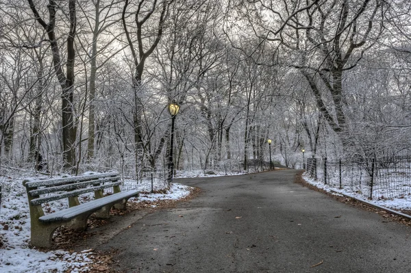 Central Park, Nueva York después de la tormenta de nieve — Foto de Stock