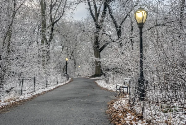 Central park, new york city efter snöstorm — Stockfoto