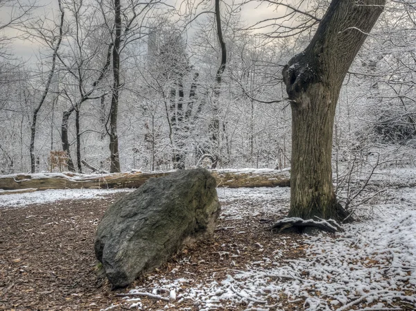 Central park, new york city efter snöstorm — Stockfoto