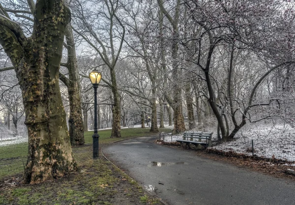 Central Park, Nova York após tempestade de neve — Fotografia de Stock
