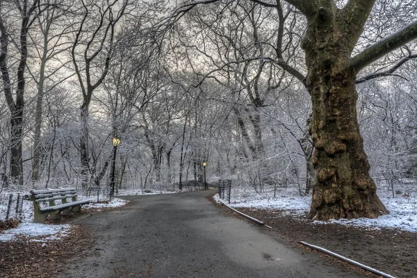 Central Park, Nova York após tempestade de neve — Fotografia de Stock