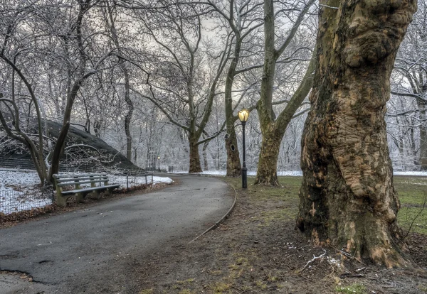 Central Park, Nova York após tempestade de neve — Fotografia de Stock