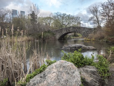 gapstow köprü central park, new york city