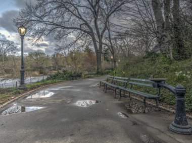 Central Park, New York Şehri
