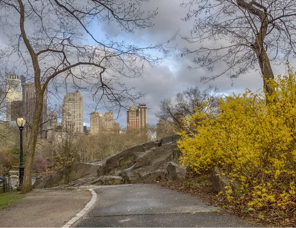 Central Park, New York — Foto Stock